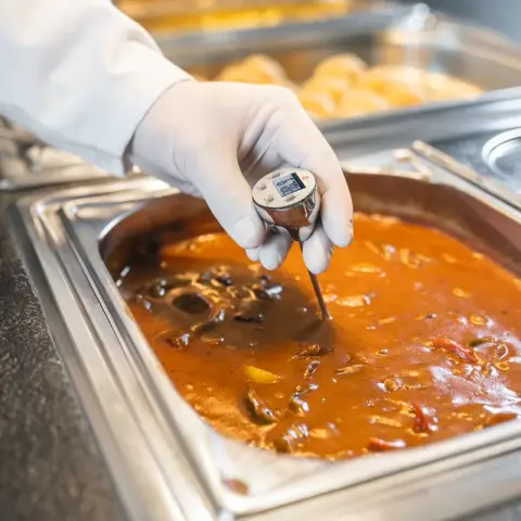 Testo Su Geçirmez Mini Termometre