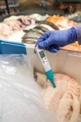 Testo 206 pH2 - Yarı Katılar için pH Metre / Sıcaklık Ölçüm Cihazı