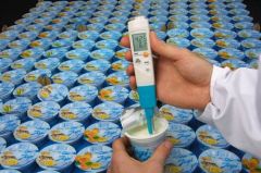 Testo 206 pH2 - Yarı Katılar için pH Metre / Sıcaklık Ölçüm Cihazı
