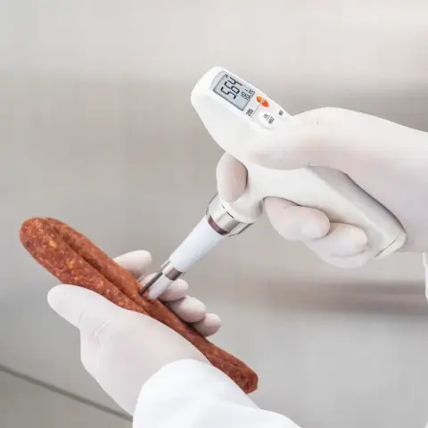 Testo 205 Et ve Gıda İçin pH metre / Sıcaklık Ölçer