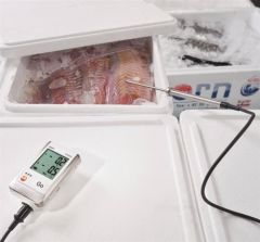 Testo 175 T2 Sıcaklık Datalogger