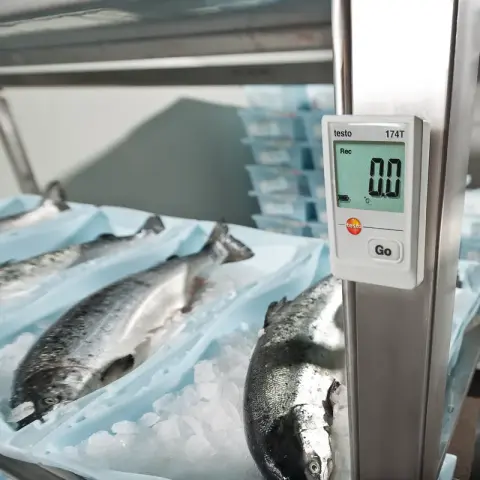 testo 174 T sıcaklık kayıt cihazı datalogger