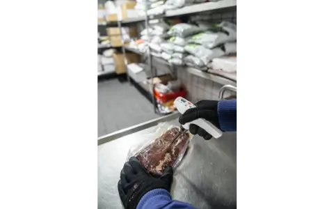 testo 105 - Tek elle kullanılabilen termometre - dondurulmuş gıdalar için