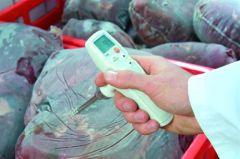 Testo 105 Gıda Termometresi (Standart Ölçüm Uçlu)