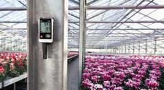 Testo 175 H1 Sıcaklık ve Nem Kayıt Cihazı (Datalogger)