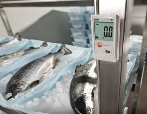 testo 174 T Seti - sıcaklık data logger