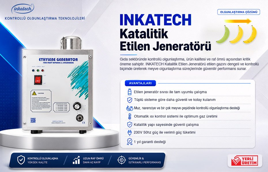 INKATECH Katalitik Etilen Jeneratörü